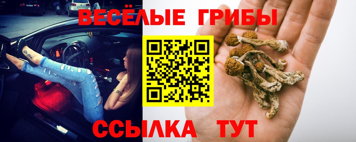 Псилоцибиновые грибы ЛСД  Вход с VPN  Бузулук  Псилоцибиновые грибы Cubensis 